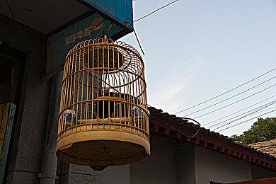 《撞车嘉年华2》抢先体验三号大更新将于8月份推出